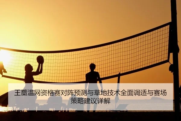 wang-qiang-wen-wang-zi-ge-sai-dui-zhen-yu-ce-yu-cao-di-ji-shu-quan-mian-tiao-shi-yu-sai-chang-ce-lve-jian-yi-xiang-jie-2-406.jpg
