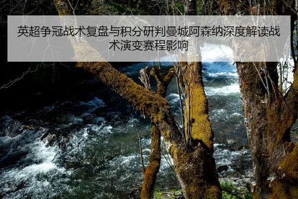 ying-chao-zheng-guan-zhan-shu-fu-pan-yu-ji-fen-yan-pan-man-cheng-a-sen-na-shen-du-jie-du-zhan-shu-yan-bian-sai-cheng-1-447.jpg